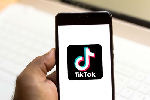 TikTok's Best Diy Home Projects 